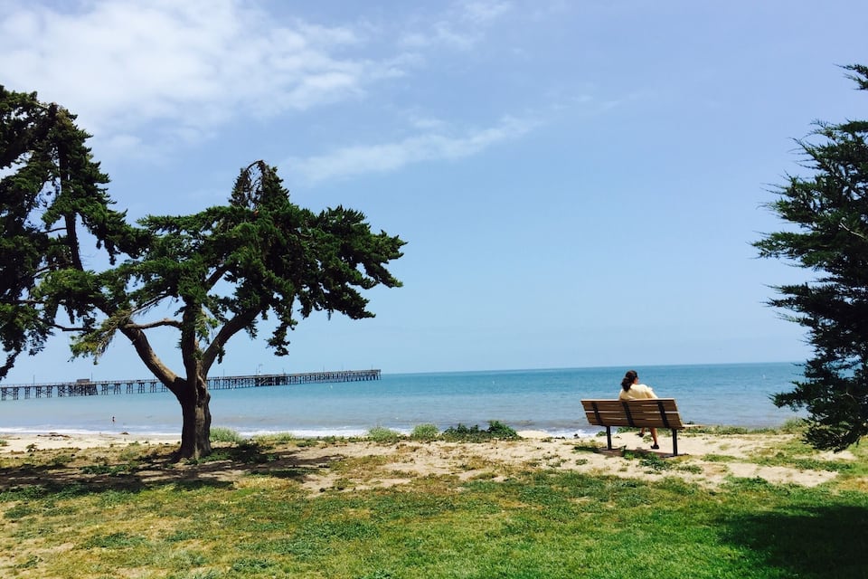 Une plage avec un banc en bois, un arbre et une jetée en arrière-plan.