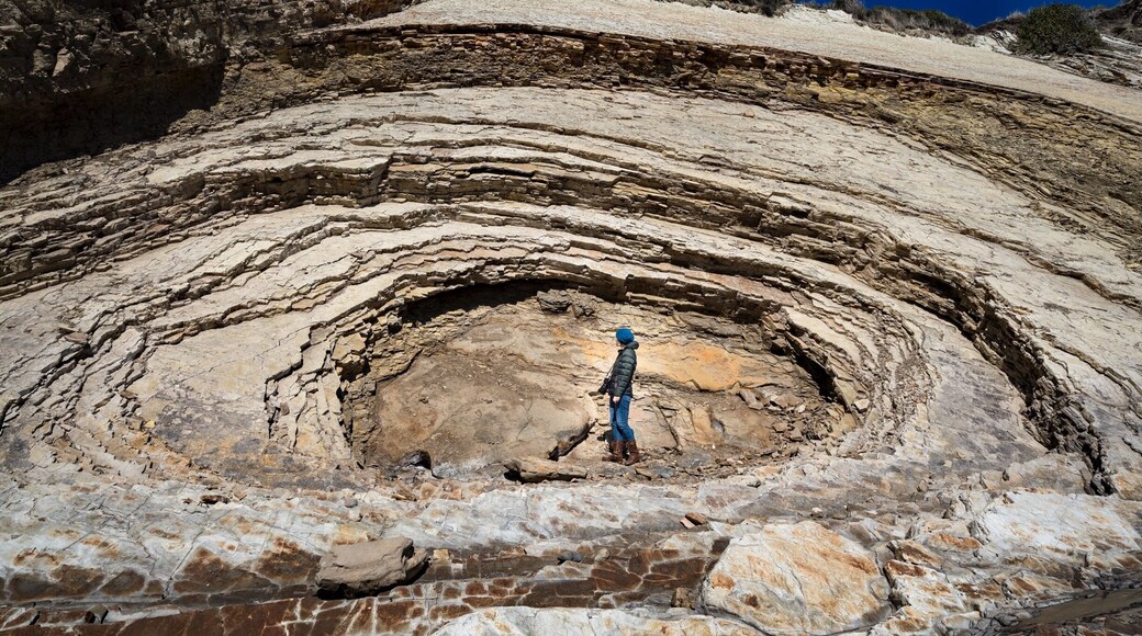 Couldn’t resist this rock formation that looks like an eye. Had my wife complete the Iris.