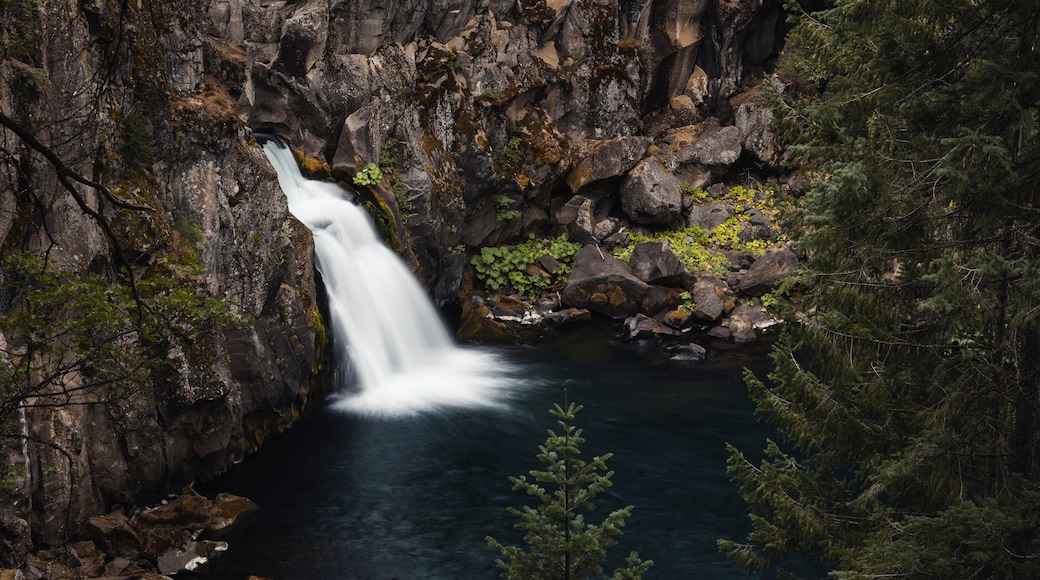McCloud Falls - Upper Fall