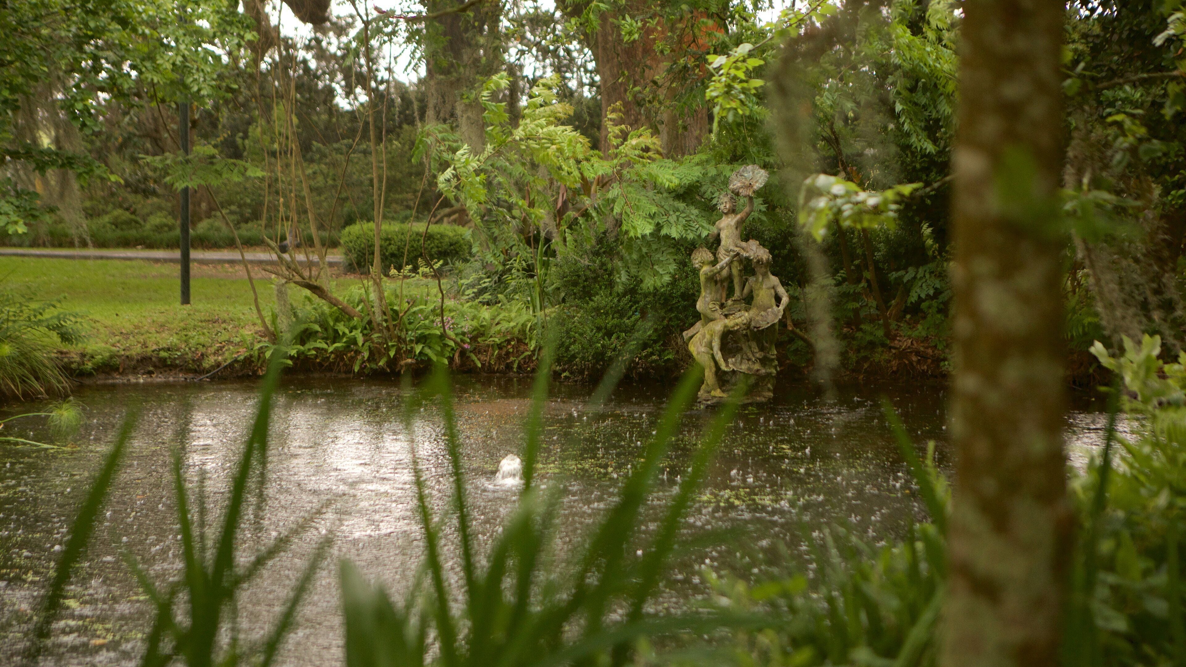 Gonzales which includes a pond, a garden and a statue or sculpture