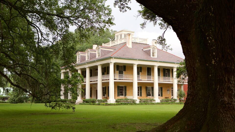 A large, historic house with a wrap-around porch, surrounded by lush greenery and a large tree in the foreground.