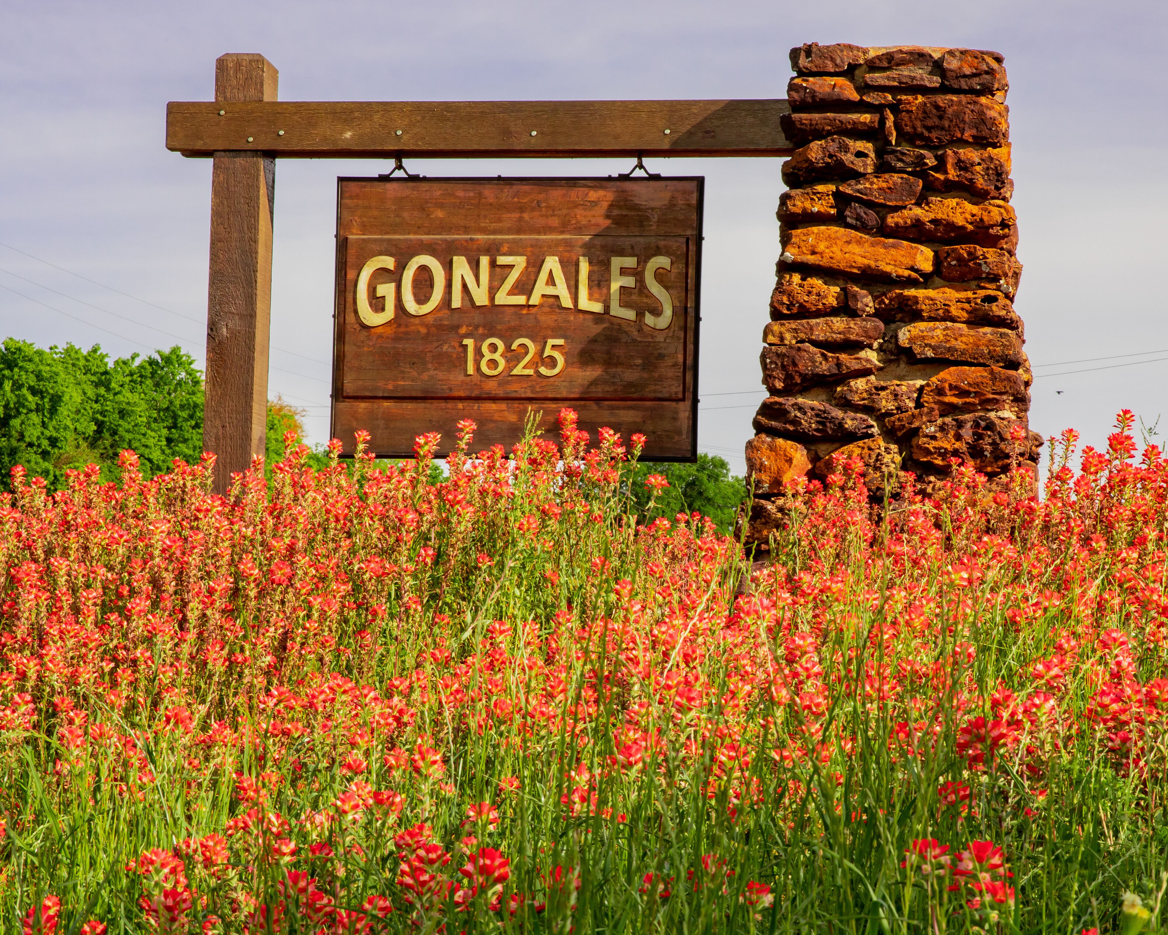 Wildflowers in front of Gonzales, Texas sign