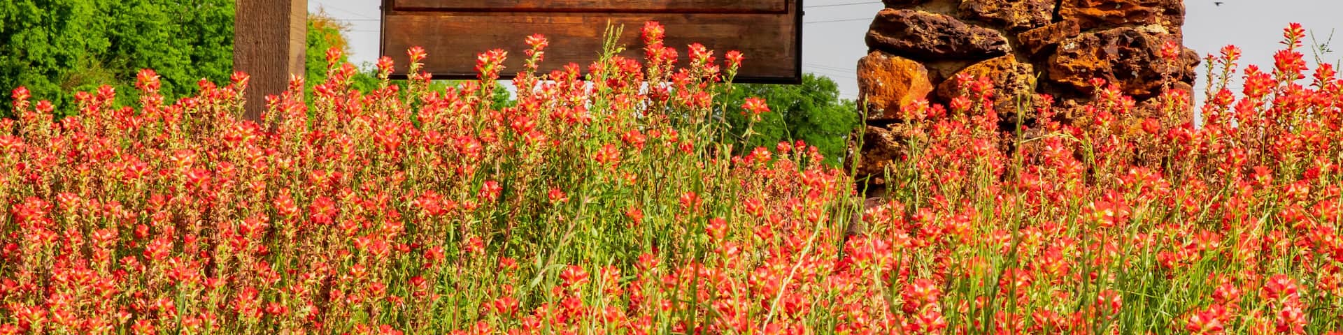 A wooden sign with 'GONZALES 1825' and a stone wall in a field of red flowers.
