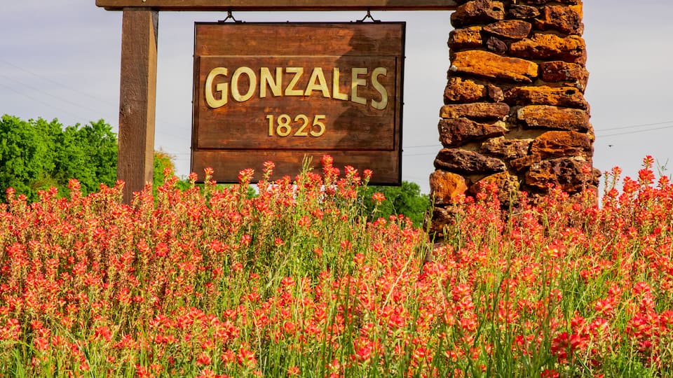 A wooden sign with 'GONZALES 1825' and a stone wall in a field of red flowers.