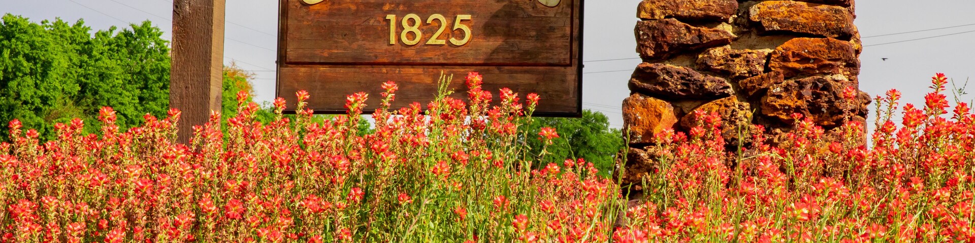 Un letrero de madera con la inscripción 'GONZALES 1825' y un muro de piedra en un campo de flores rojas.