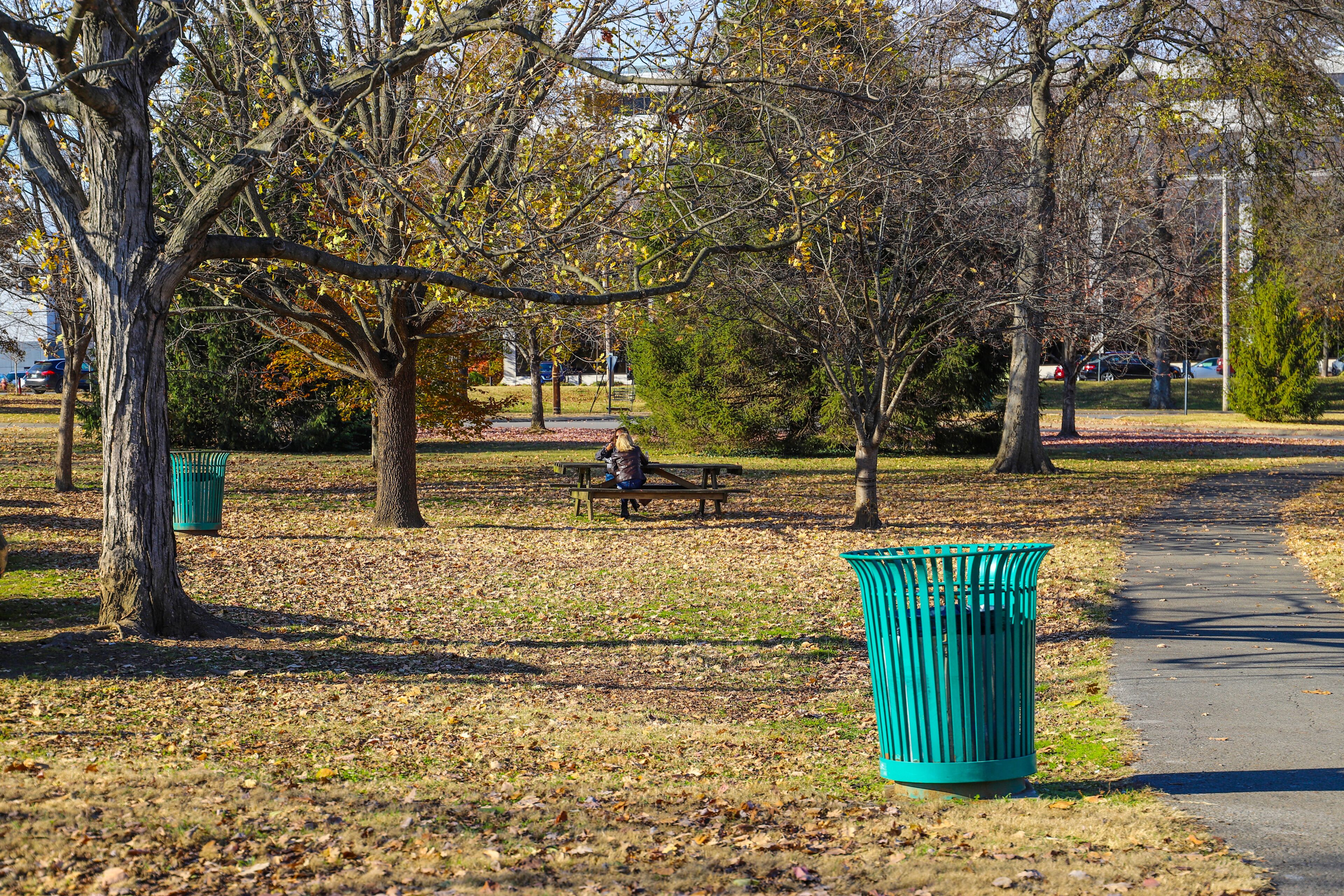 two women sitting at a park bench surrounded by gorgeous autumn trees at Centennial Park in Nashville Tennessee USA