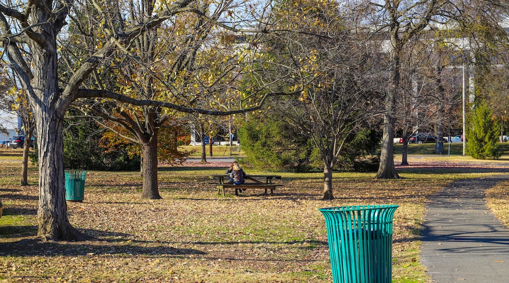 two women sitting at a park bench surrounded by gorgeous autumn trees at Centennial Park in Nashville Tennessee USA
