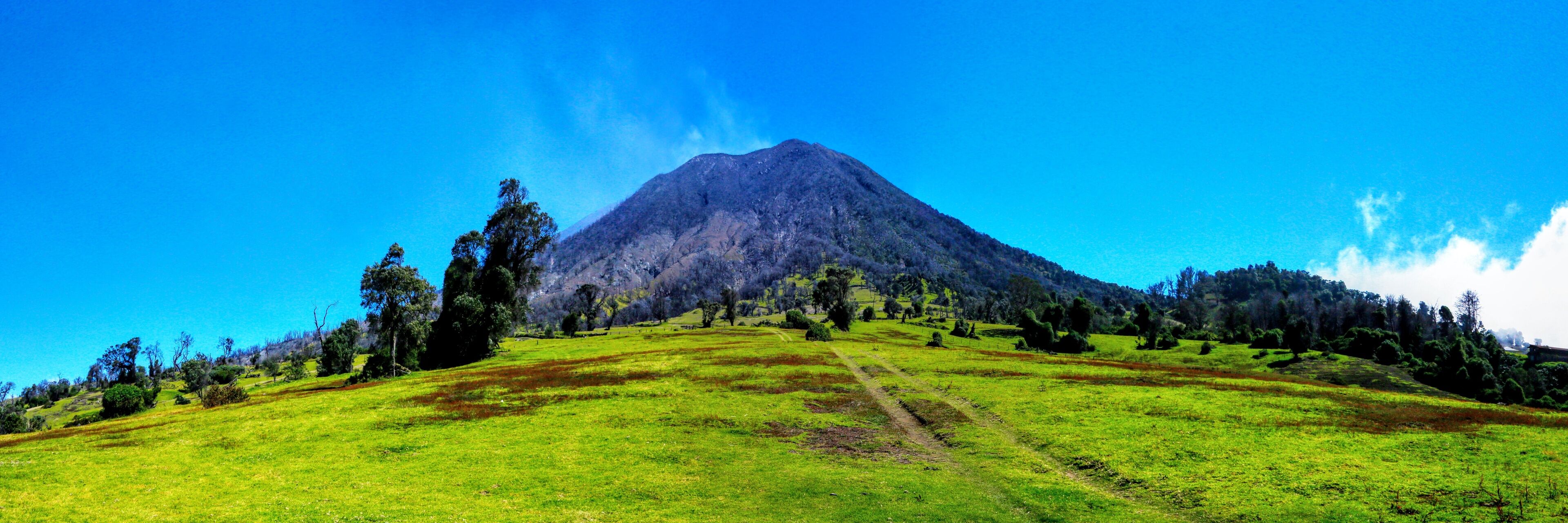 A grassy hill with a mountain in the background.