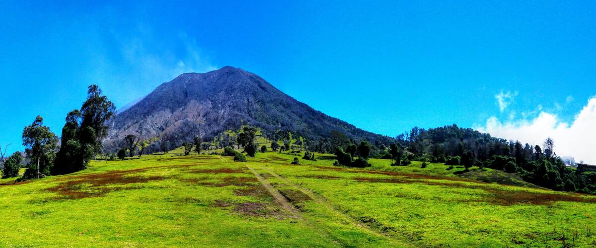 A grassy hill with a mountain in the background.