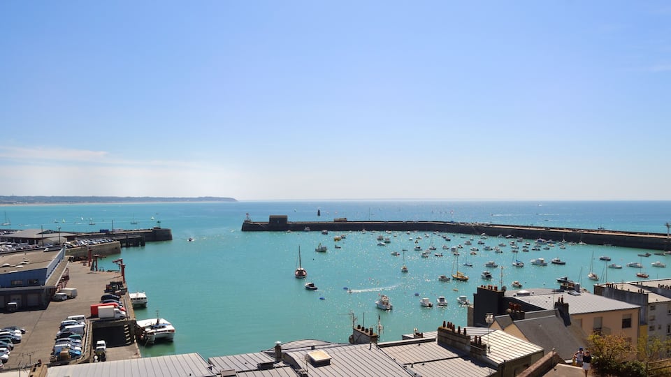 A harbor with numerous boats, a clear sky, and a distant coastline.