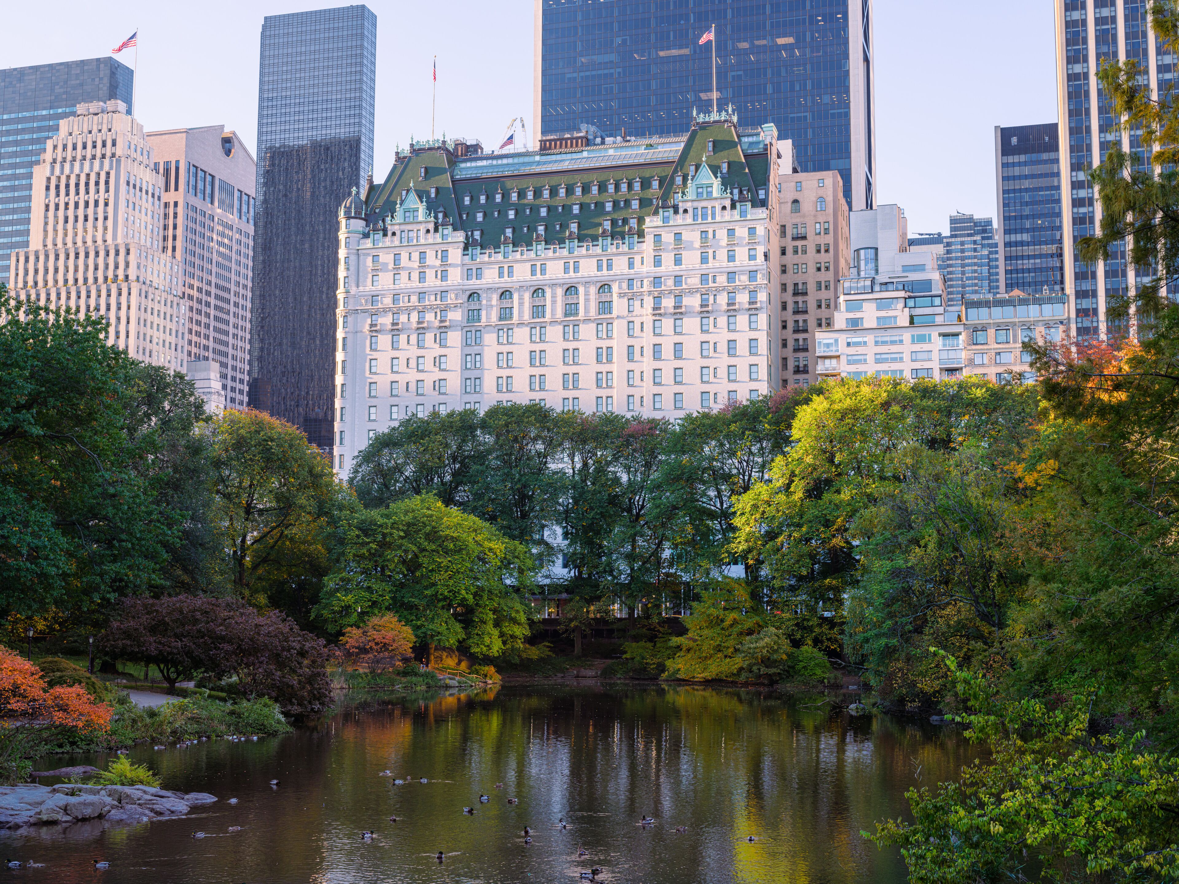 A cityscape with a prominent historic building, a body of water with ducks, and surrounding trees.