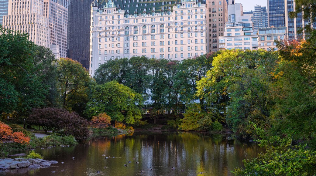 A cityscape with a prominent historic building, a body of water with ducks, and surrounding trees.
