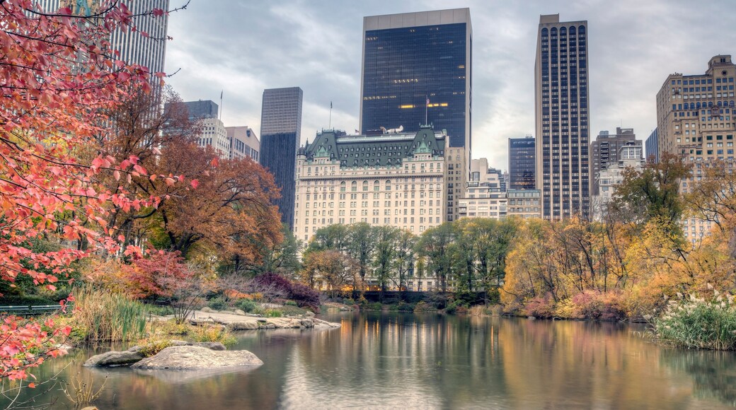 Plaza hotel in autumn