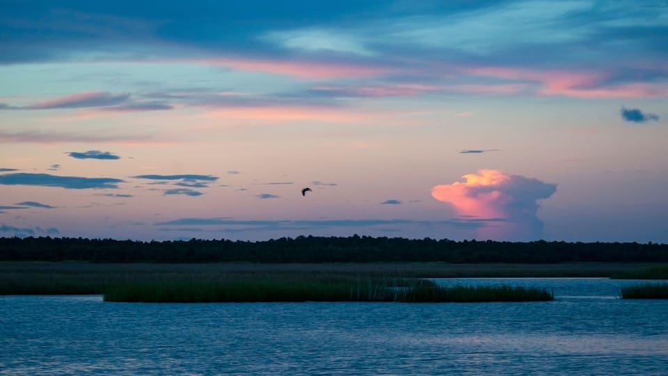 Sunset in the Pearl River Marsh