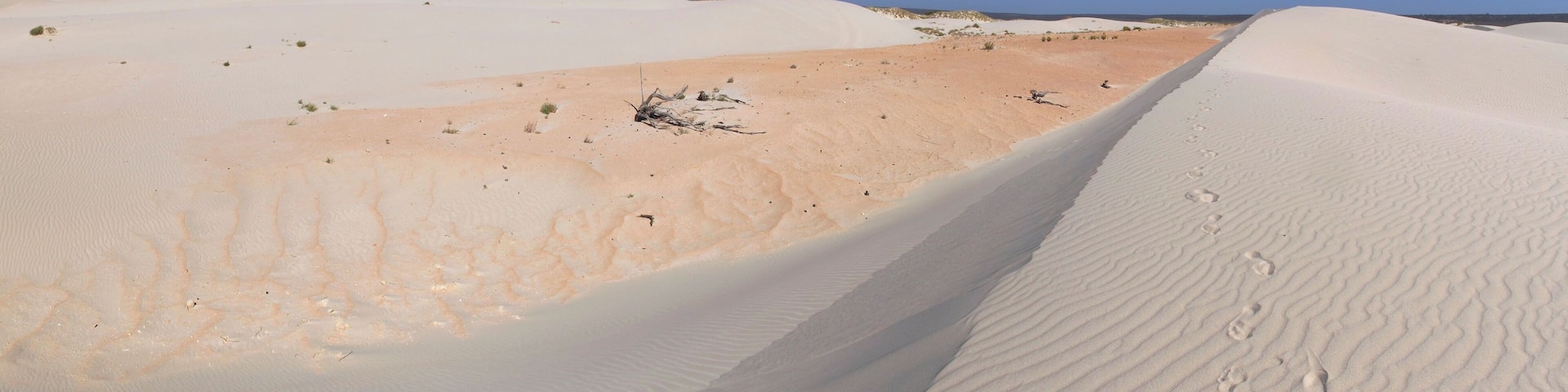 Dunes at Eucla, Nullarbor, Western Australia