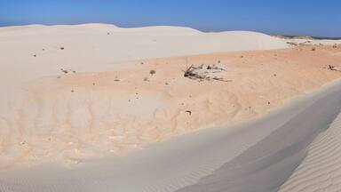 Dunes at Eucla, Nullarbor, Western Australia