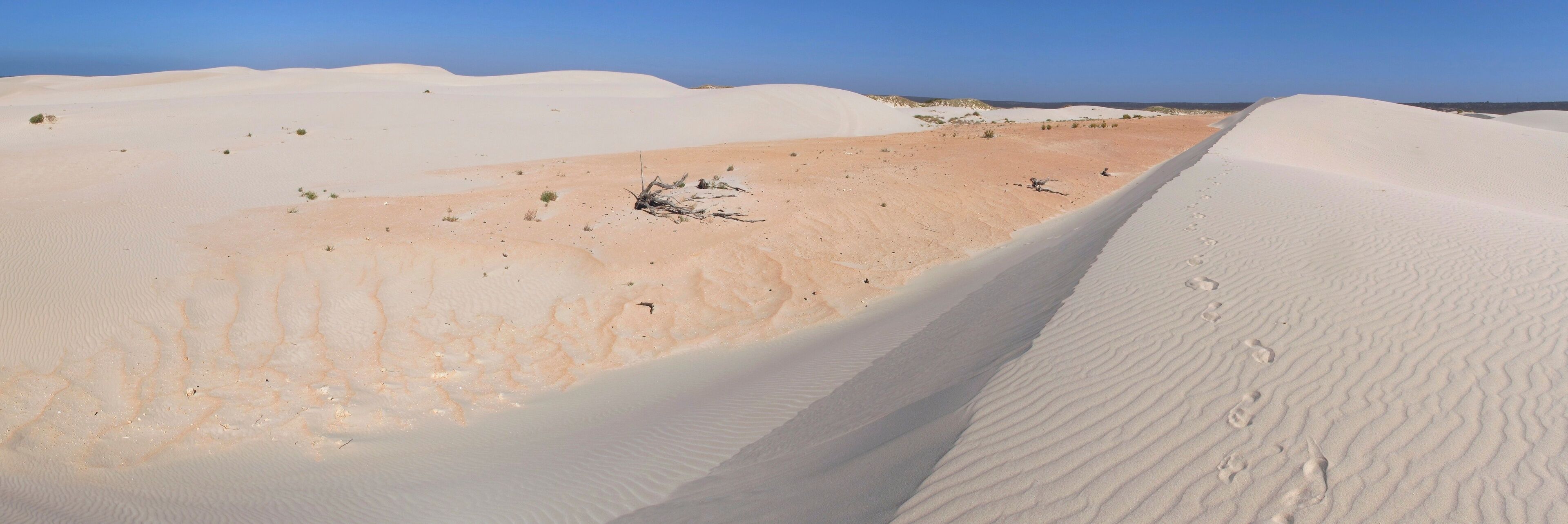 A vast desert landscape with sand dunes and sparse vegetation.