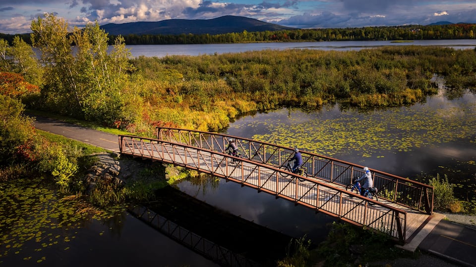 A wooden bridge over a calm lake surrounded by dense forest and mountains in the background.