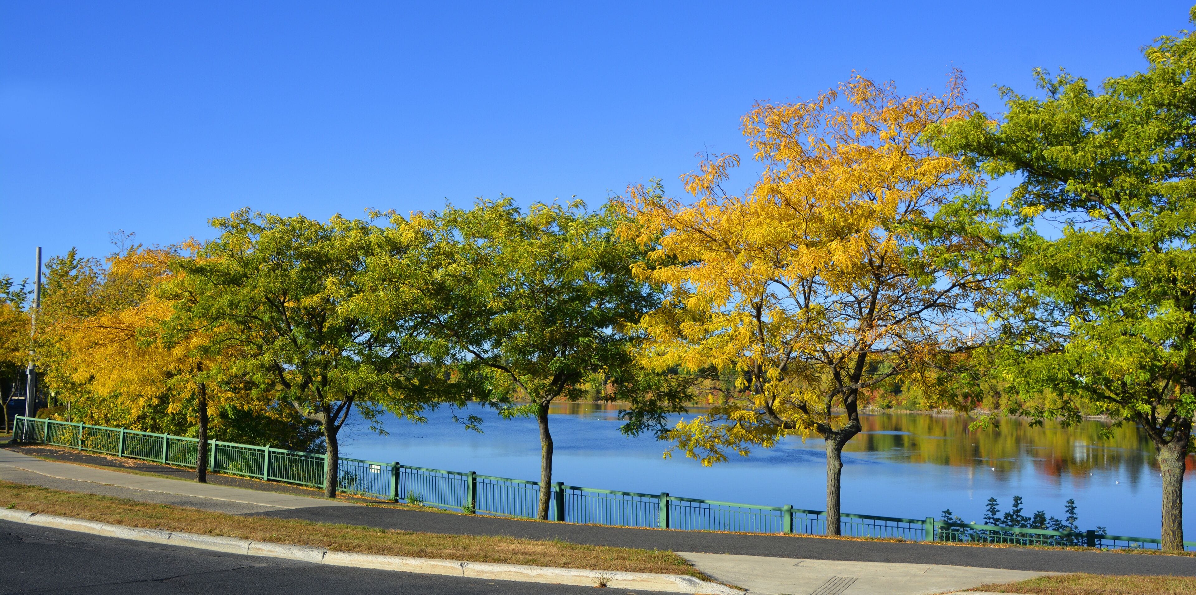 Un parque junto al lago con follaje otoñal, una valla verde y un cielo azul despejado.