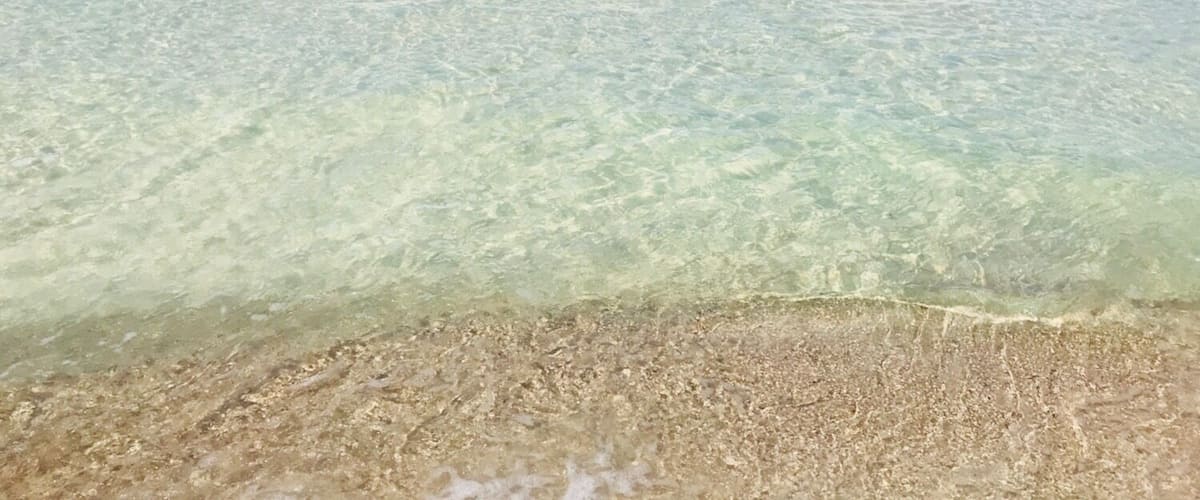 This is The Grand Lagoon at St Andrew 
State Park. We love this area from St George Island down 30A are the most beautiful beaches in the world.