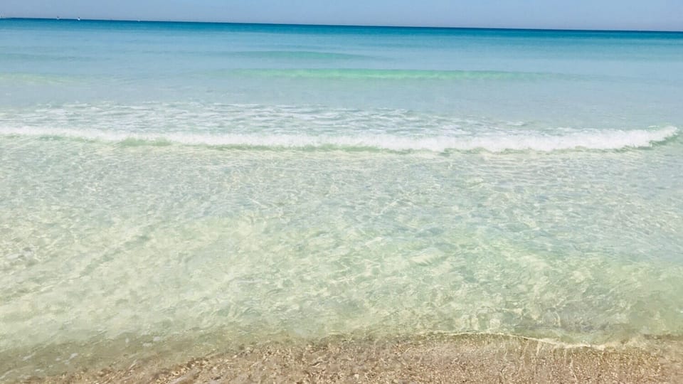 This is The Grand Lagoon at St Andrew
State Park. We love this area from St George Island down 30A are the most beautiful beaches in the world.