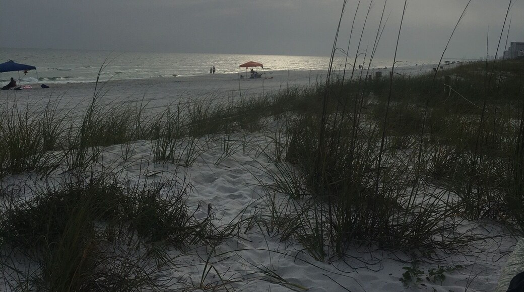 Gorgeous water, sparkling sand, friendly community...PCB is definitely a place on the return visit list!