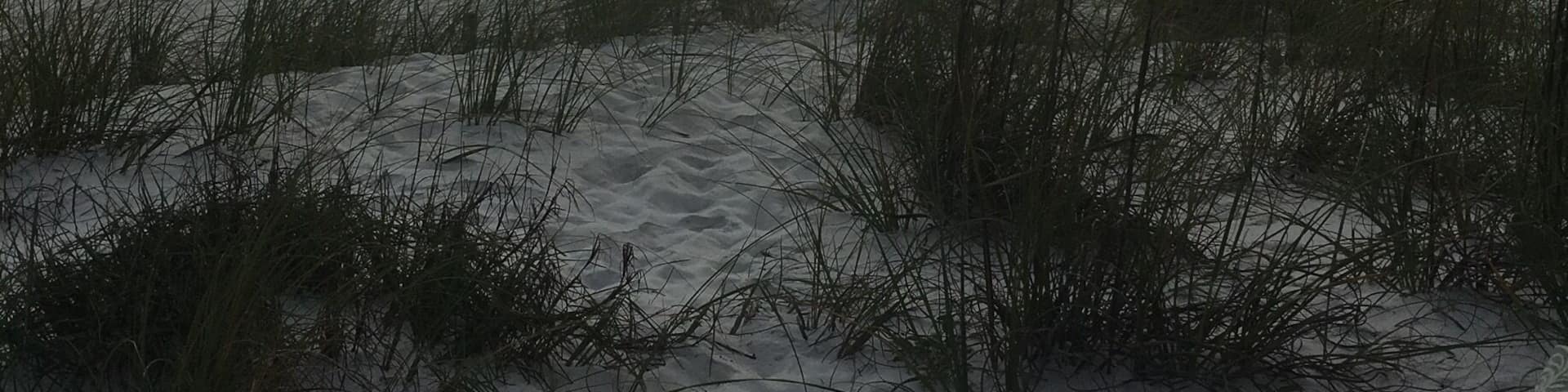 Gorgeous water, sparkling sand, friendly community...PCB is definitely a place on the return visit list!