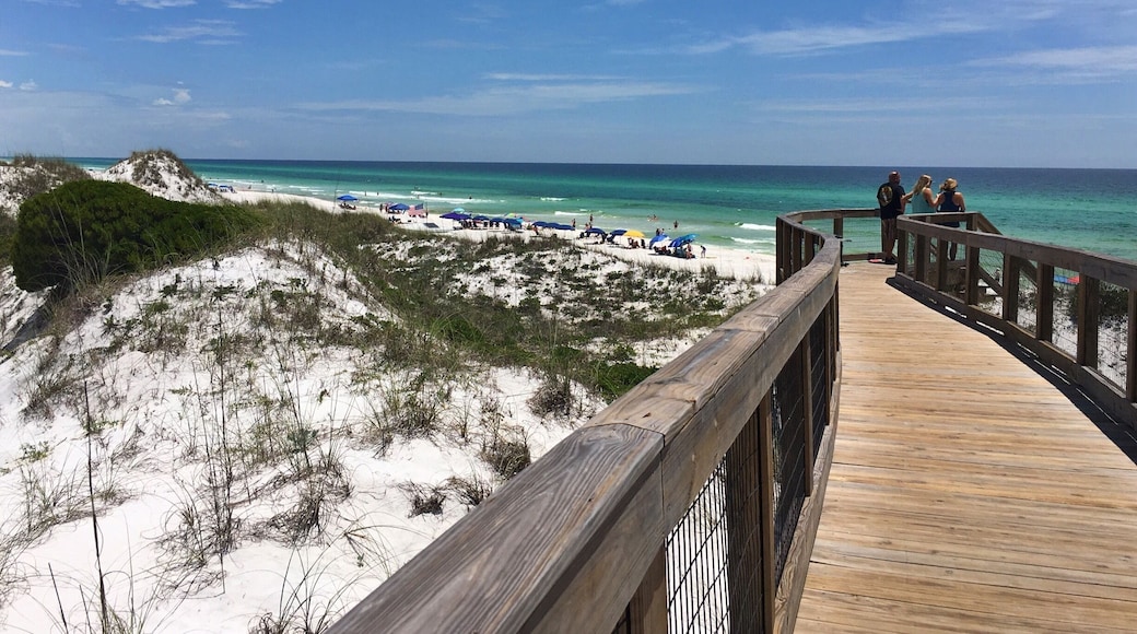 #aquatrove the gulf has some of Americans most stunning ocean waters 😍💎