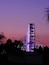 Long Beach Ferris Wheel at Dusk Beyond Palm Trees