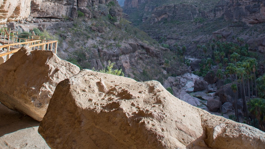 Rock paintings 8, San Francisquito, Mexico