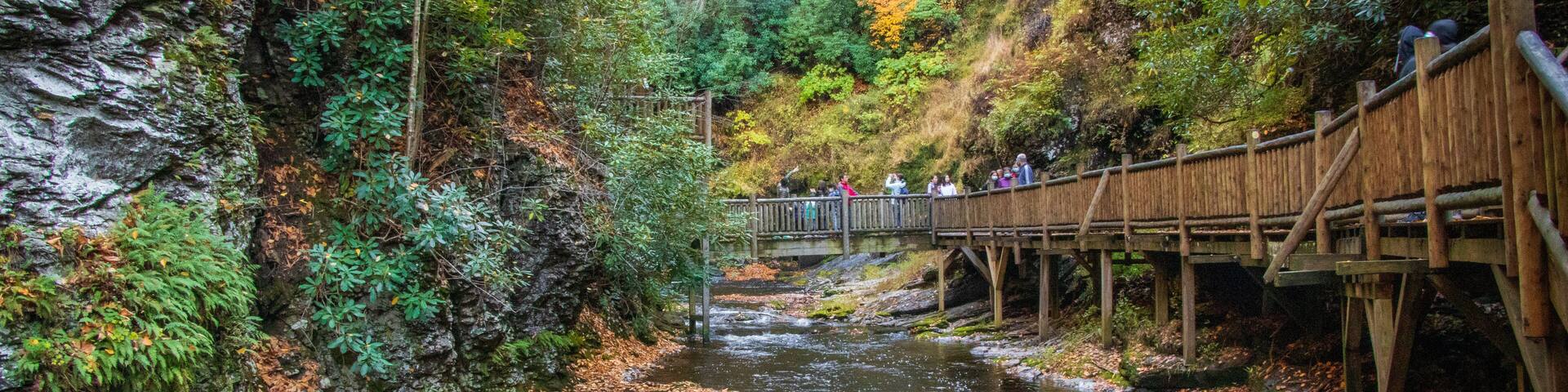 Un puente de madera sobre un río caudaloso, rodeado de follaje otoñal y acantilados rocosos.
