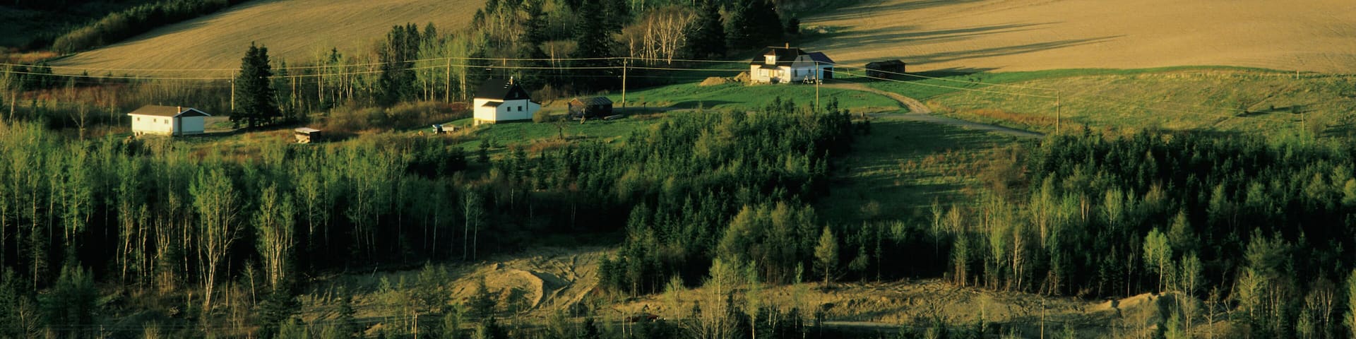 Potatoe farms near Grand Falls New Brunswick Canada. Image shot 1998. Exact date unknown.