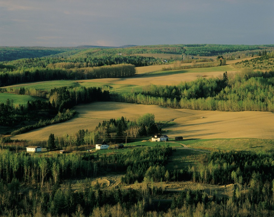 Potatoe farms near Grand Falls New Brunswick Canada. Image shot 1998. Exact date unknown.
