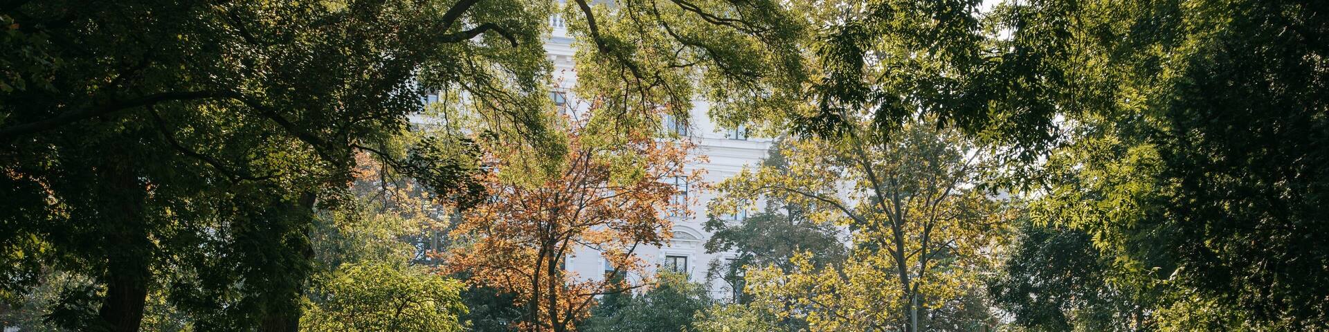 Rathauspark which includes a garden as well as a couple