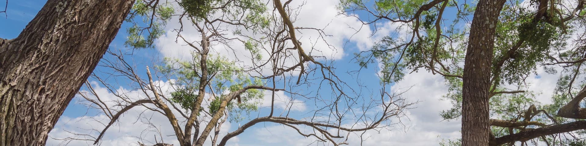Empty green hammock in shade tree shades at lakeside park in Grand Prairie, Texas, USA. Vacation, relaxation and enjoy the beauty of the nature. Wanderlust and travel concept, cloud blue sky