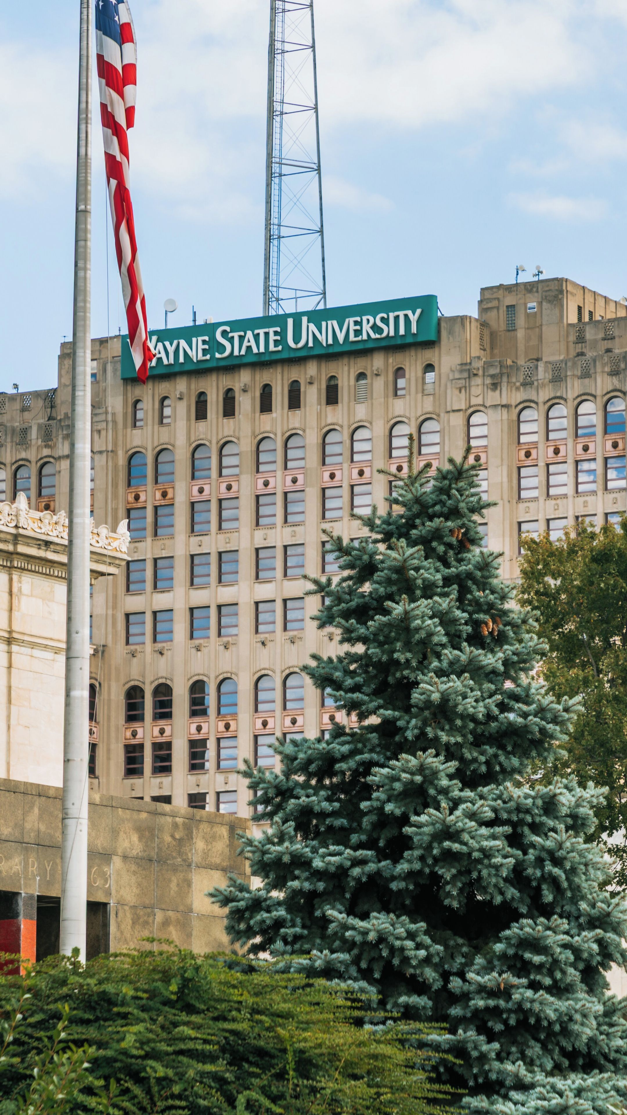 Wayne State