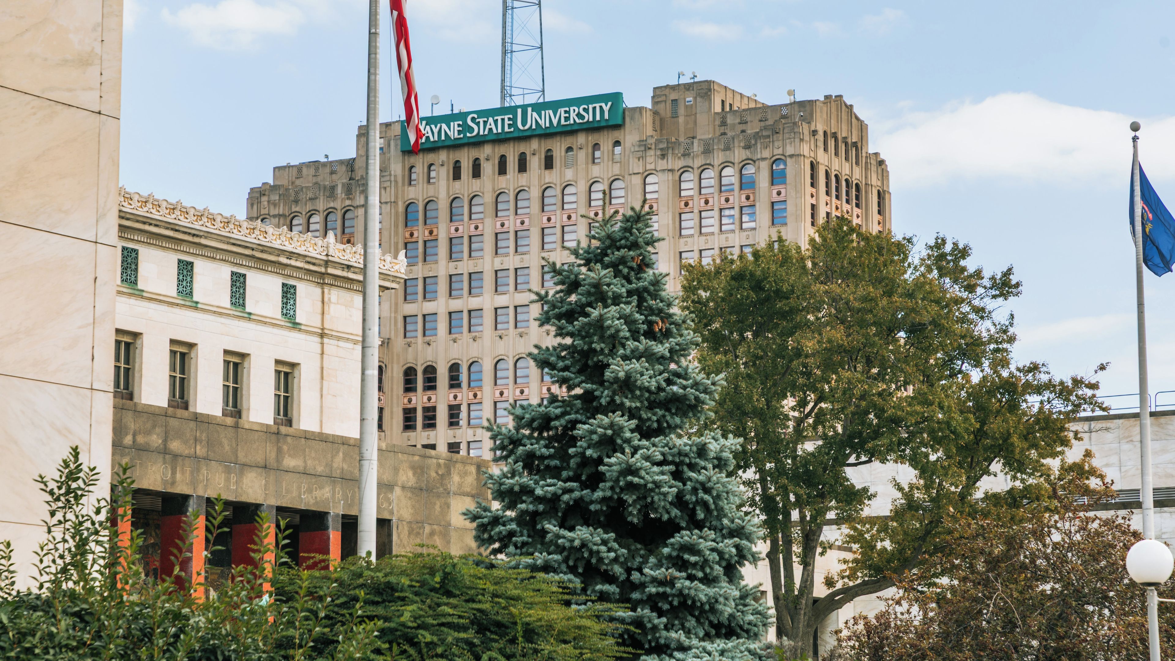 Wayne State