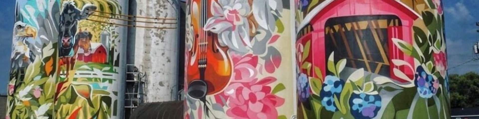 Our town just got a whole lot cooler. These grain bins had once been an eyesore but are now beautiful.
#Trovember