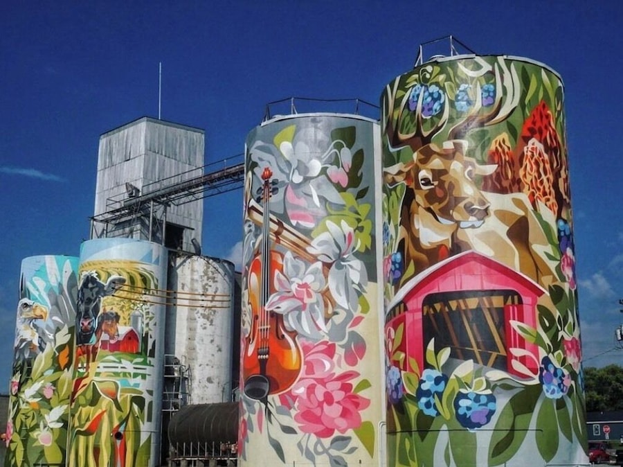 Our town just got a whole lot cooler. These grain bins had once been an eyesore but are now beautiful.
#Trovember