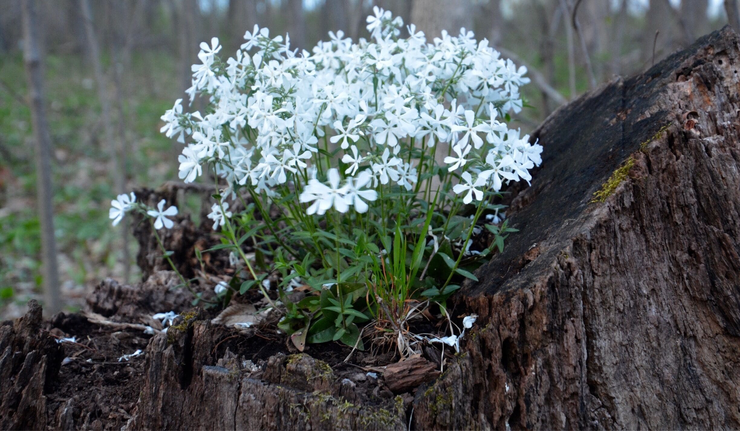 You never know what surprises nature has in store for you. 