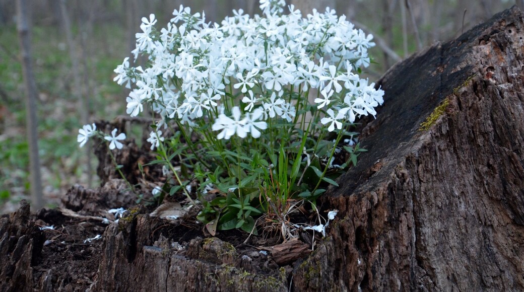 You never know what surprises nature has in store for you.