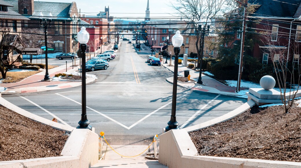 View from on top of Vinegar Hill