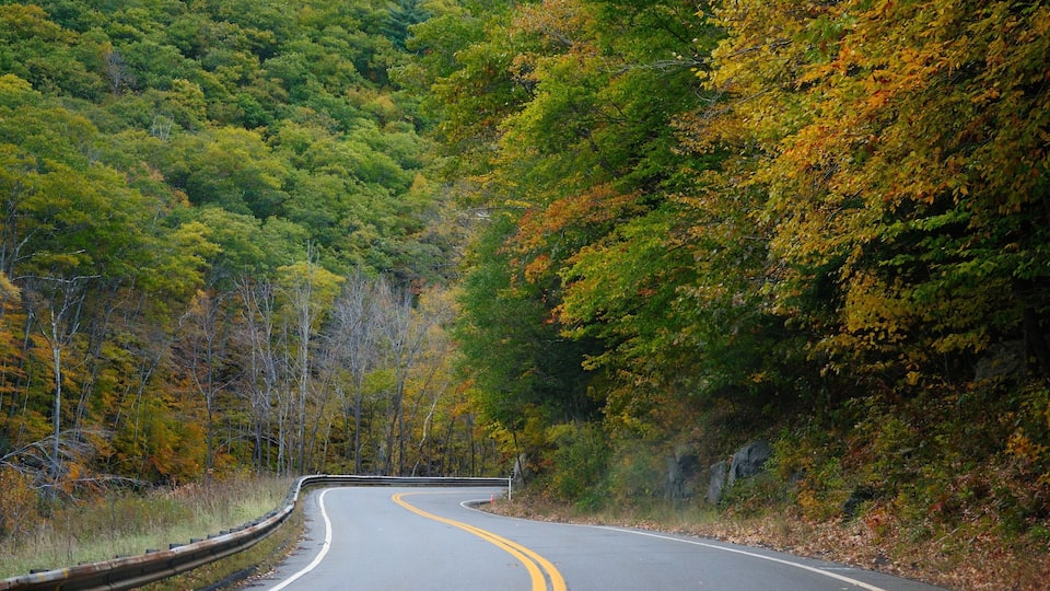 A winding road through a forest with autumn foliage.