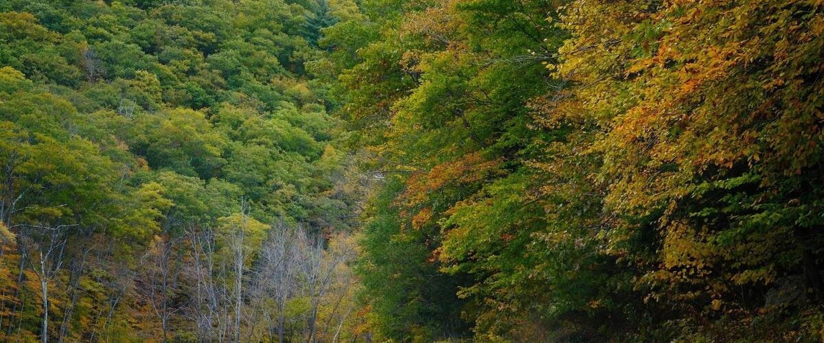 The Mohawk Trail through The Berkshire Hills (Massachusetts, USA) in autumn