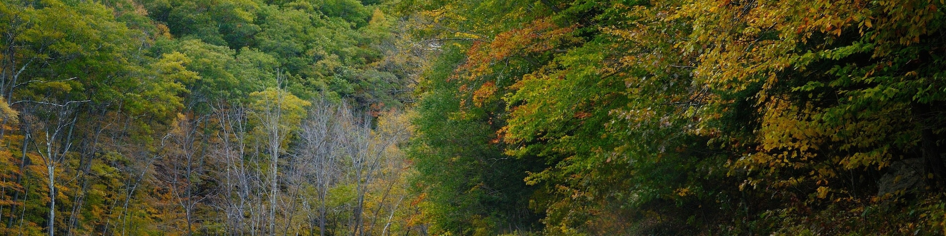 The Mohawk Trail through The Berkshire Hills (Massachusetts, USA) in autumn