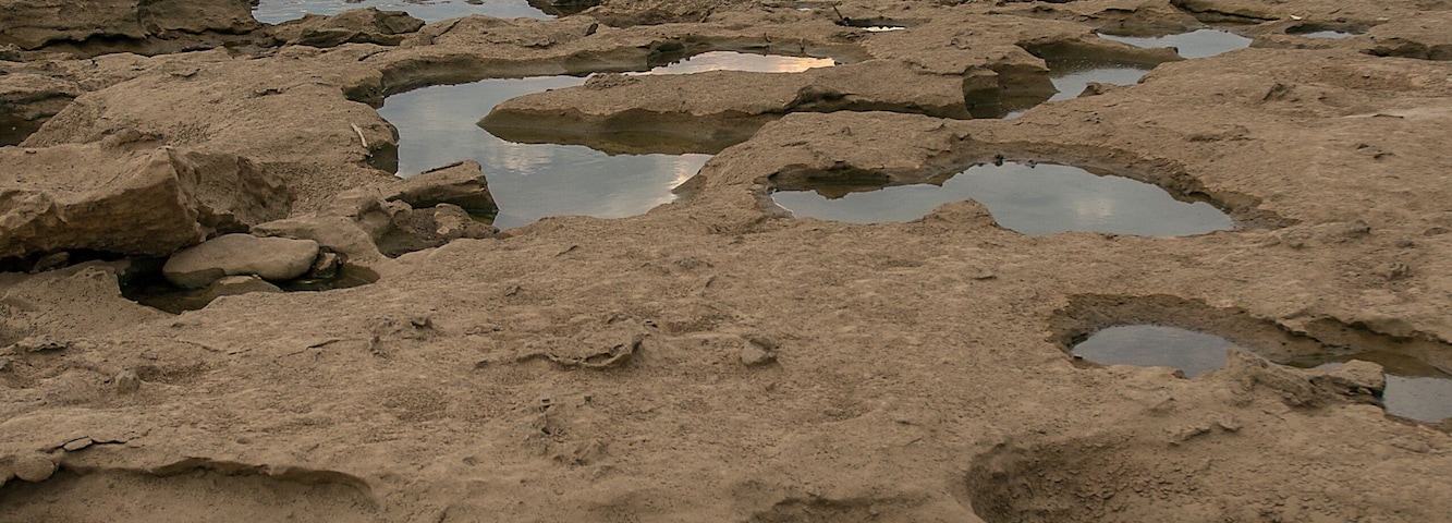 Una costa rocosa con charcos de agua y una vista distante de un atardecer sobre un área boscosa.