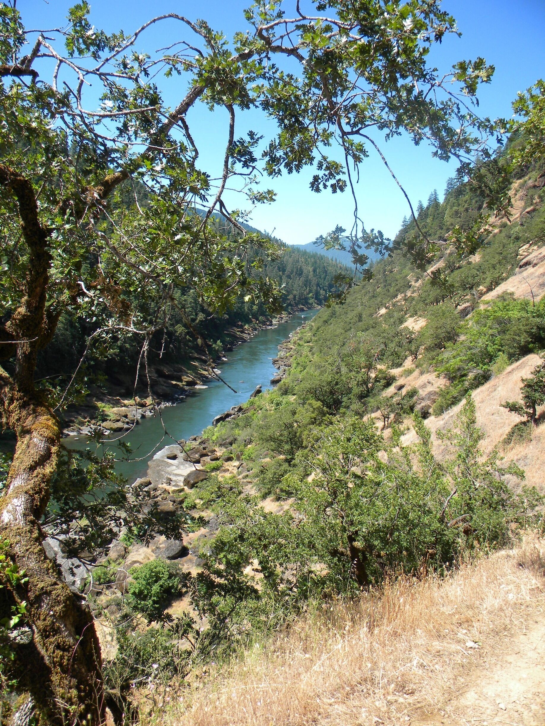 Rogue River Trail
