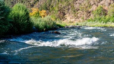defocused Water level view of Hellgate Canyon on the wild and scenic Rogue River