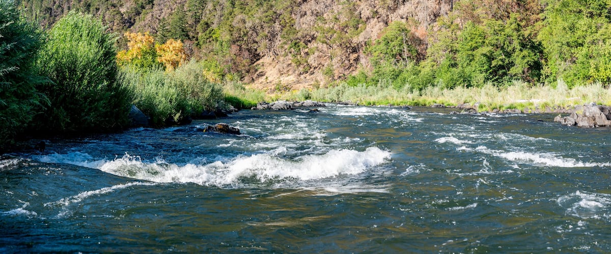 A flowing river with rocks and dense forested hills in the background.