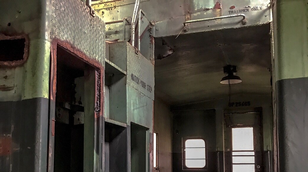 Crawl inside the old train from underneath